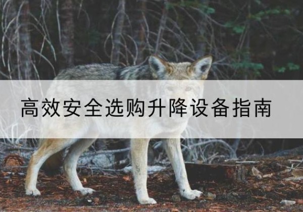 灌云升降货梯厂家推荐-*安全选购升降设备指南