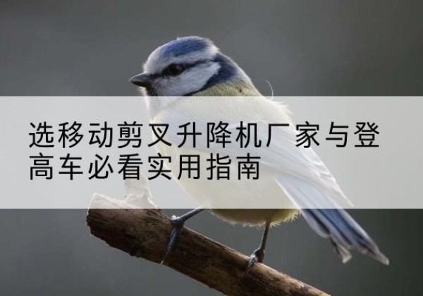 灌云电动升降机厂家-选移动剪叉升降机厂家与登高车必看实用指南