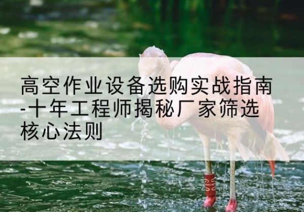 灌云剪叉式升降机厂家-高空作业设备选购实战指南-十年工程师揭秘厂家筛选核心法则